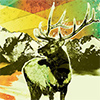 Antlers cover thumbnail