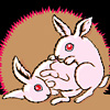 Shagging bunnies thumbnail